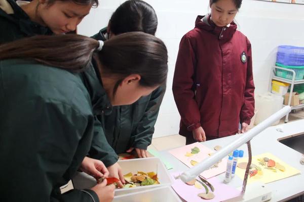 学生自主尝试化学、物理、生物实验1